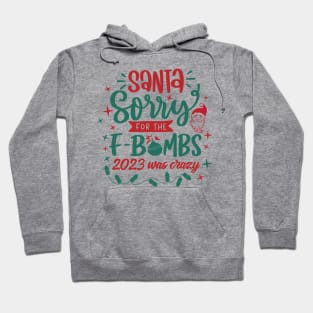 Dear Santa Sorry For The F Bombs Hoodie